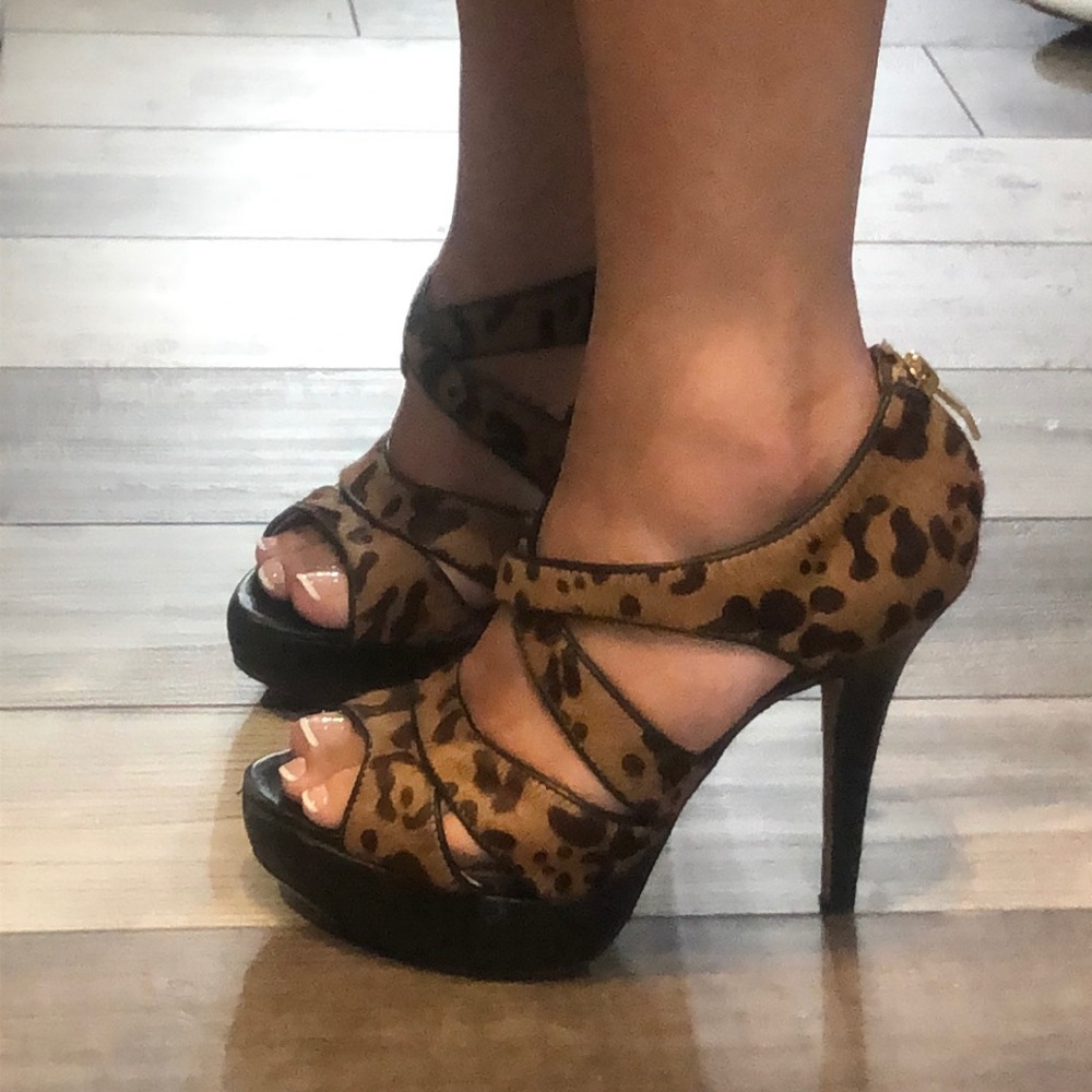 Vince Camuto 🐆